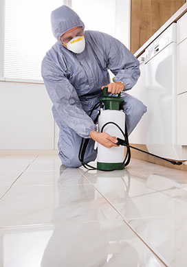 專業(yè)除害蟲